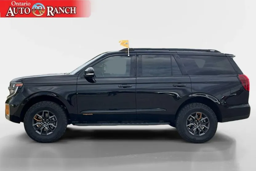 2025 Ford Expedition photo 1