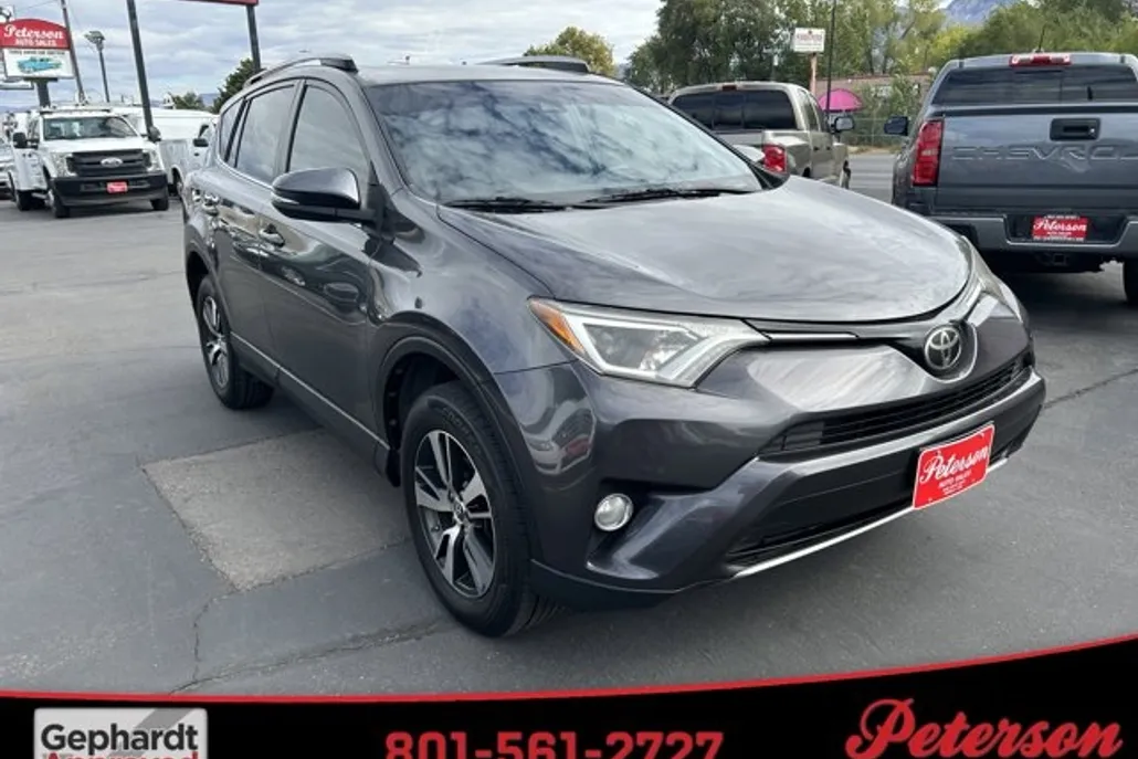 2017 Toyota RAV4 XLE photo 1