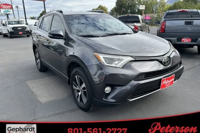 2017 Toyota RAV4 XLE photo 1