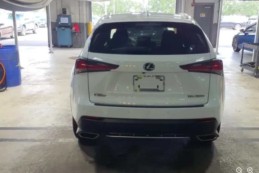 2020 Lexus NX 300 F SPORT photo 1