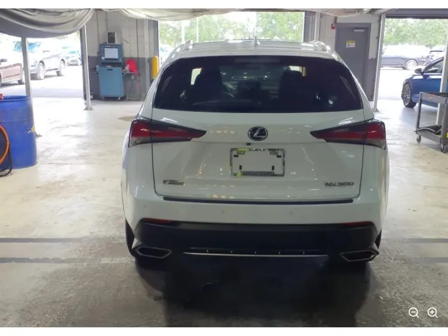 2020 Lexus NX 300 F SPORT photo 1