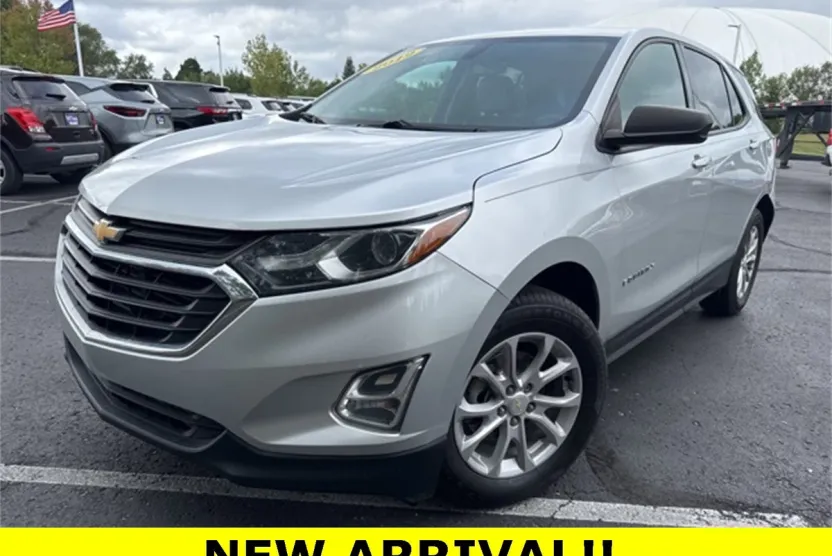 2019 Chevrolet Equinox LS photo 1