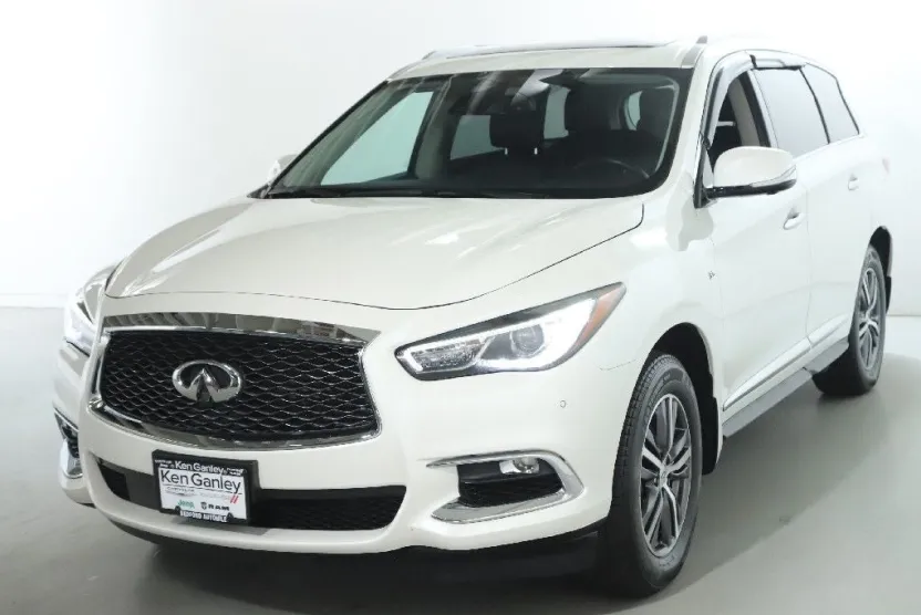 2019 Infiniti QX60 Luxe photo 1