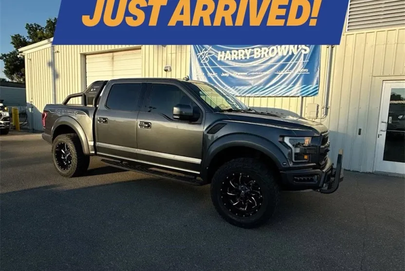 2019 Ford F-150 Raptor photo 1