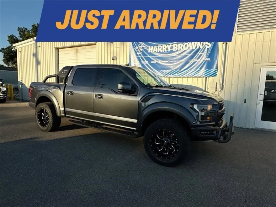 2019 Ford F-150 Raptor photo 1