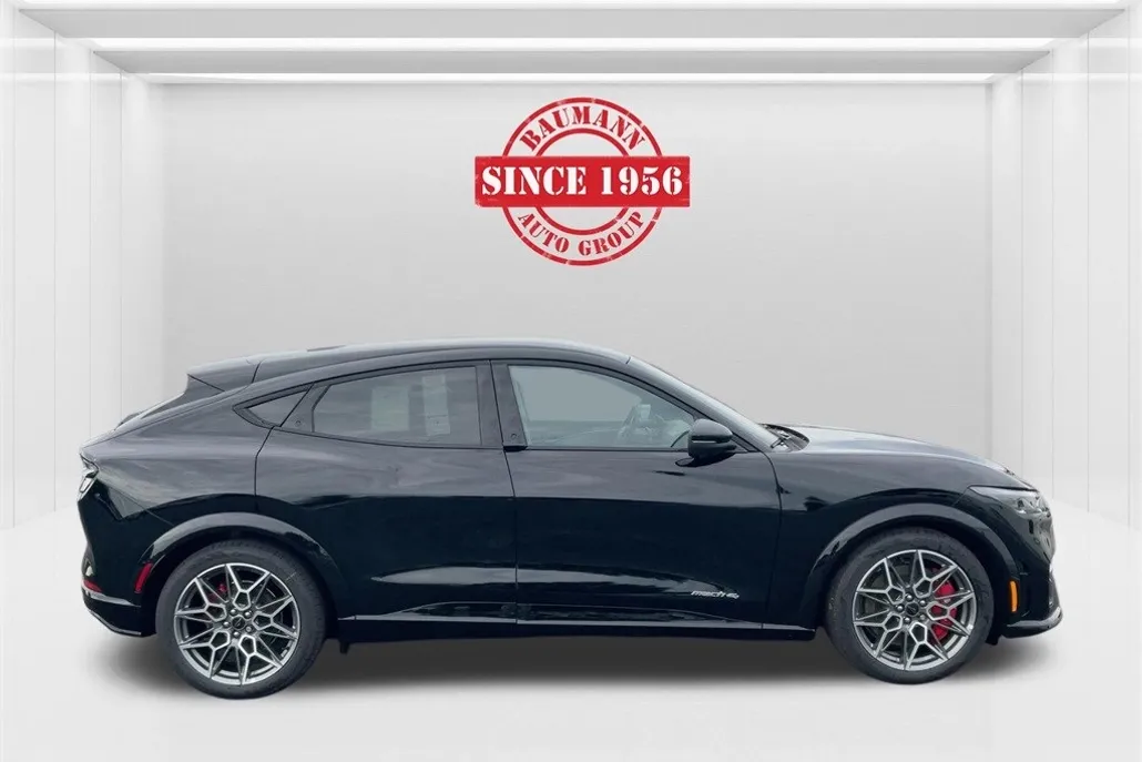 2025 Ford Mustang Mach-E GT photo 1