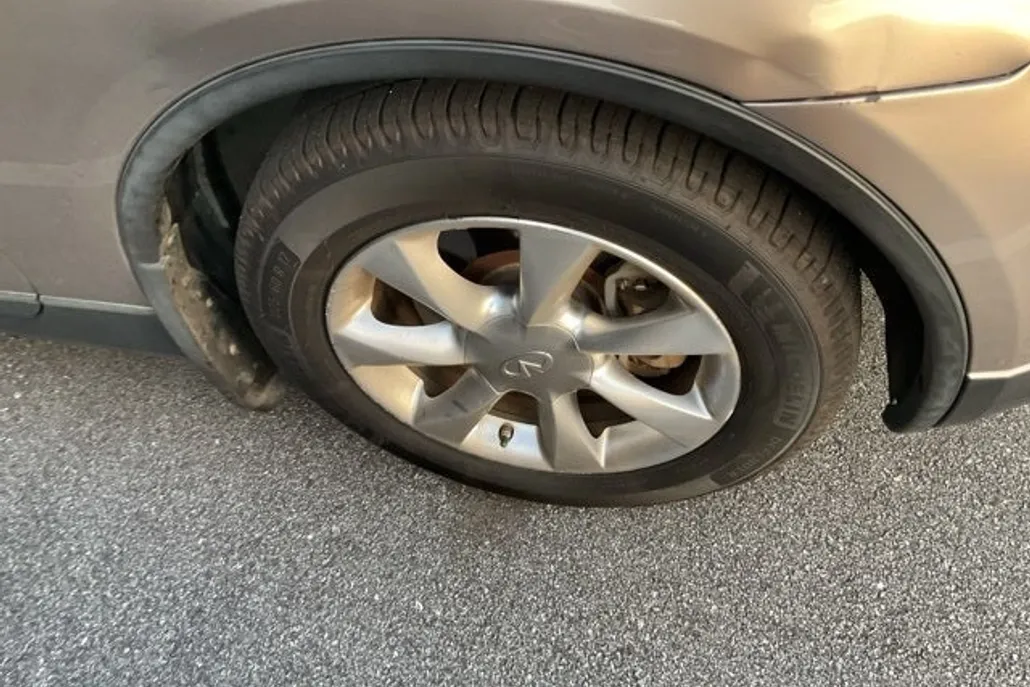 2008 Infiniti EX35 Journey photo 1