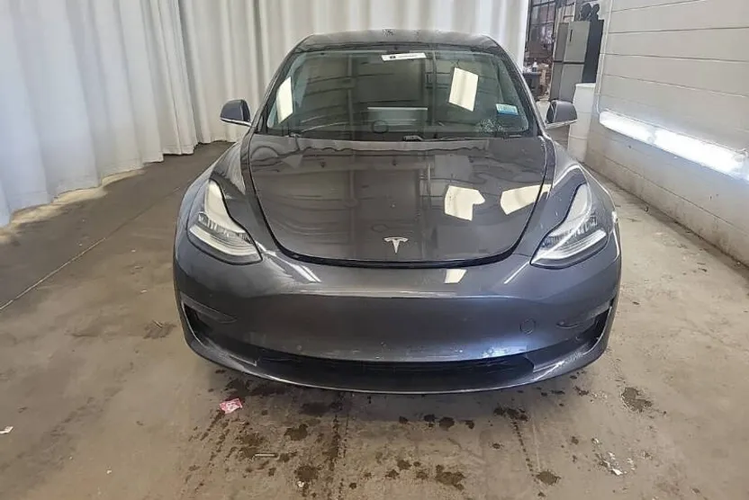 2019 Tesla Model 3 Standard Range Plus photo 1