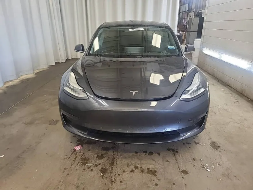 2019 Tesla Model 3 Standard Range Plus photo 1