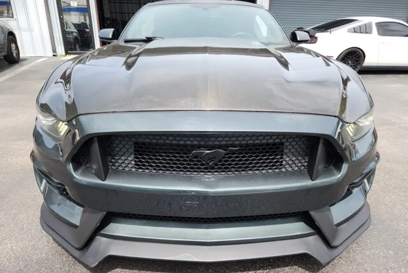 2015 Ford Mustang GT photo 1