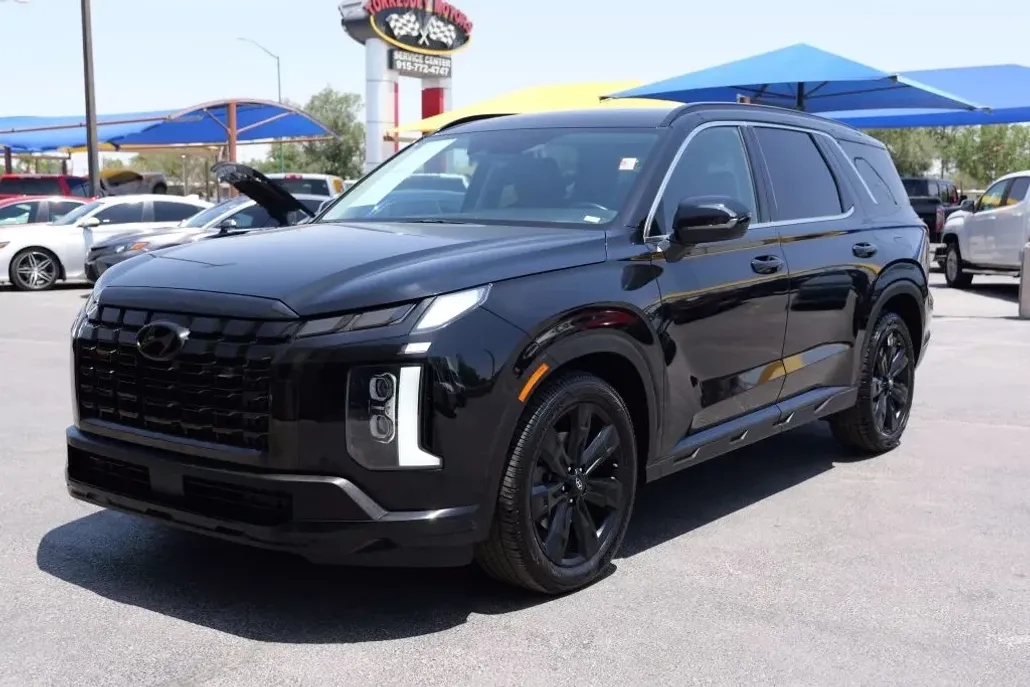 2024 Hyundai Palisade XRT photo 1