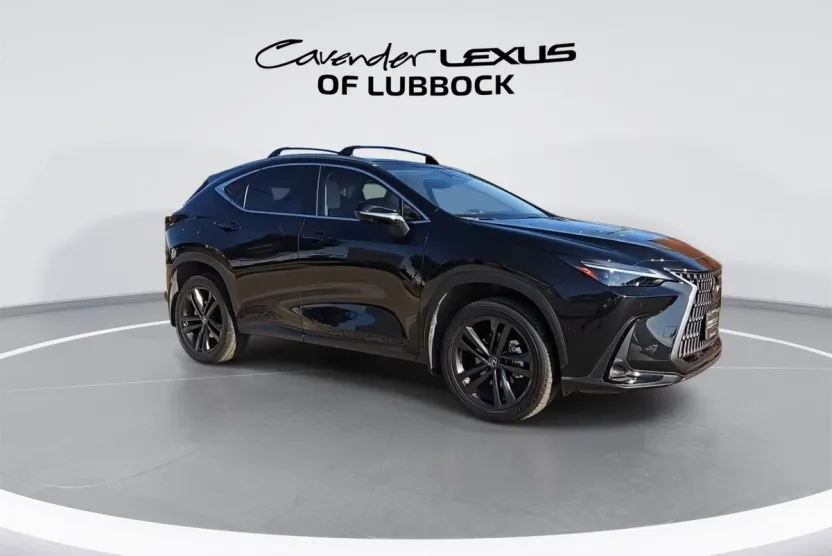2025 Lexus NX Luxury photo 1