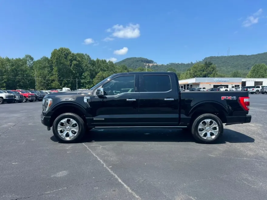2021 Ford F-150 Platinum photo 9