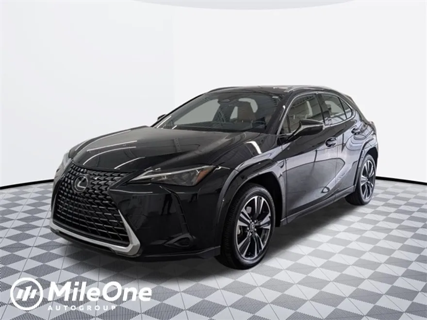 2025 Lexus UX photo 1