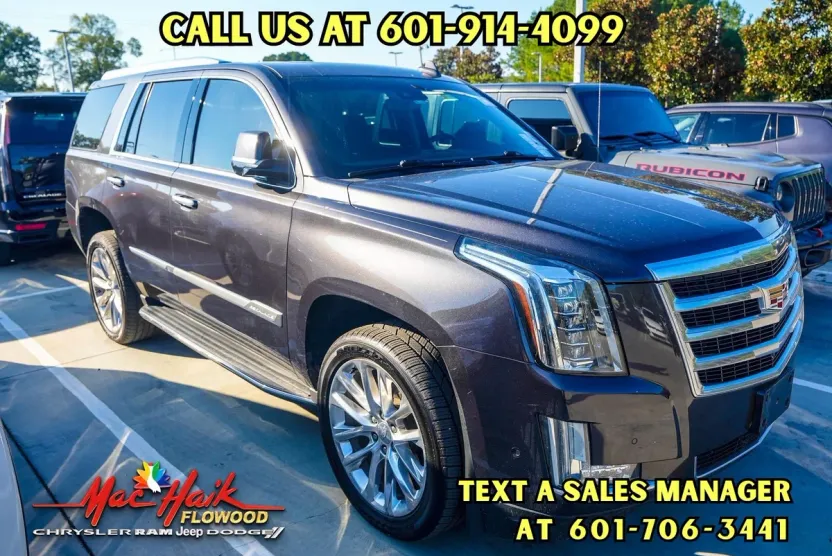 2018 Cadillac Escalade Luxury photo 1