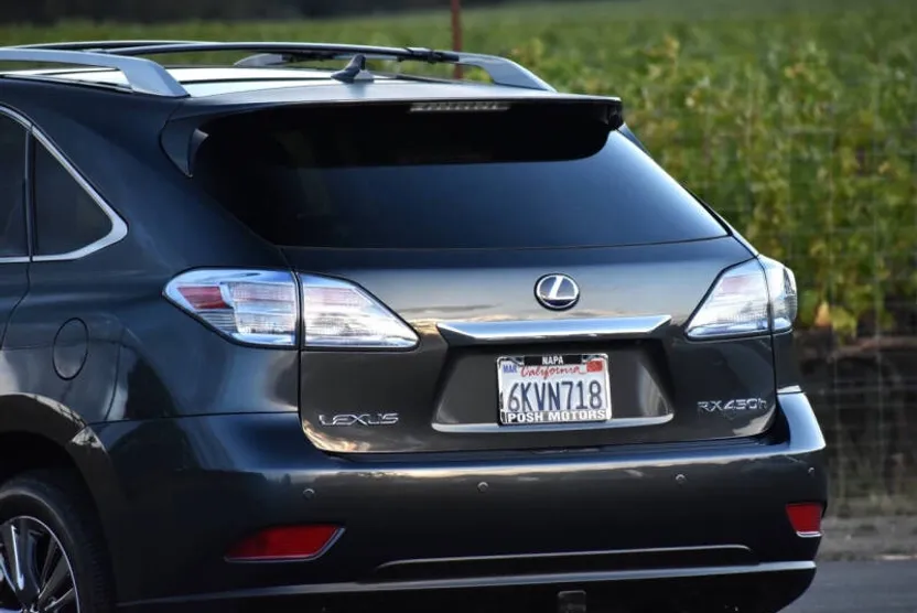 2010 Lexus RX 450h photo 1