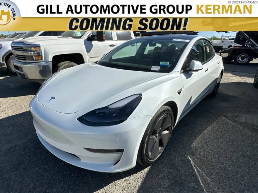 2023 Tesla Model 3 photo 1
