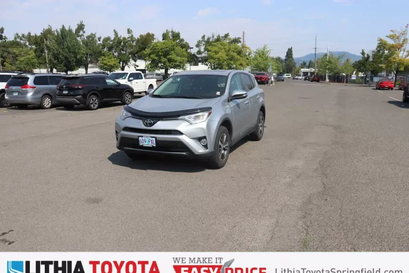 2018 Toyota RAV4 XLE photo 1