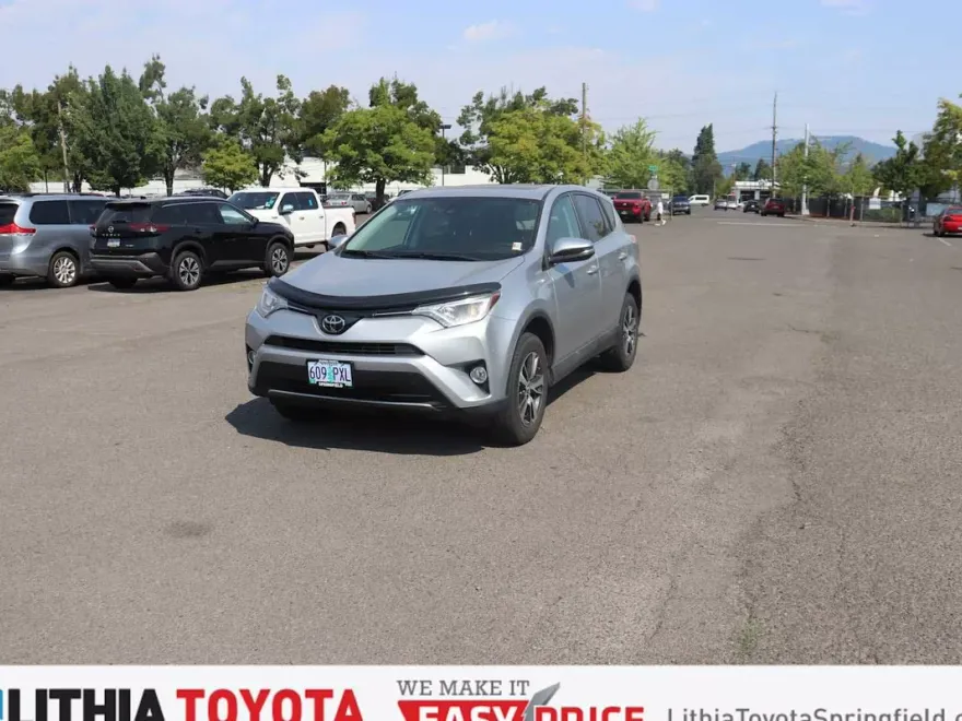 2018 Toyota RAV4 XLE photo 1