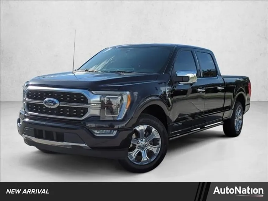 2022 Ford F-150 Platinum photo 1