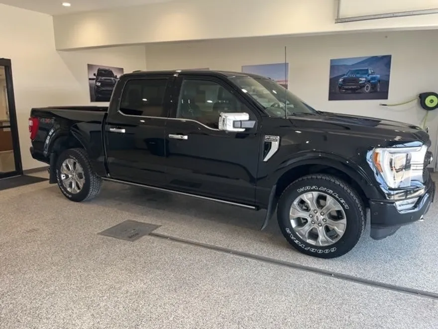 2022 Ford F-150 Platinum photo 1