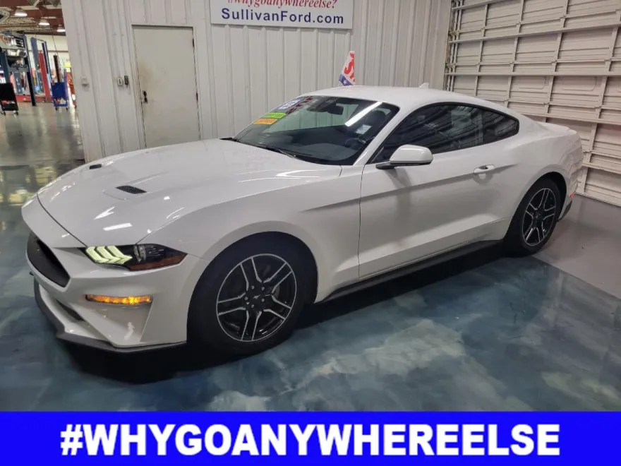 2023 Ford Mustang EcoBoost Premium photo 1