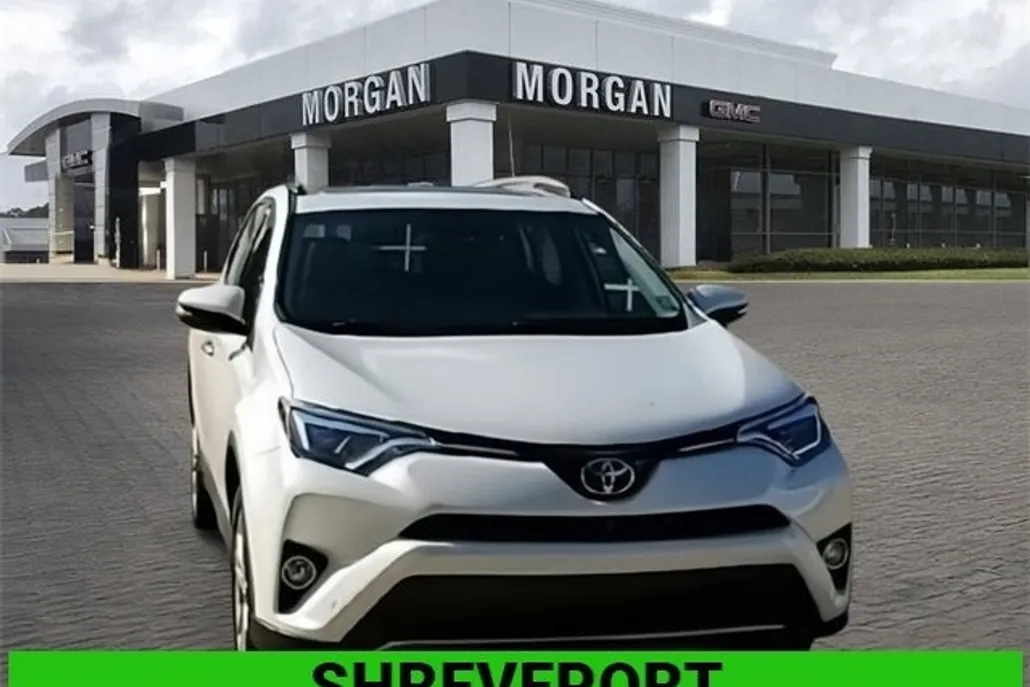 2017 Toyota RAV4 Limited photo 1
