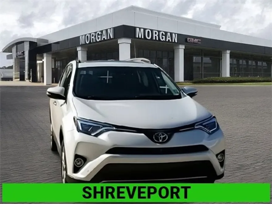 2017 Toyota RAV4 Limited photo 1