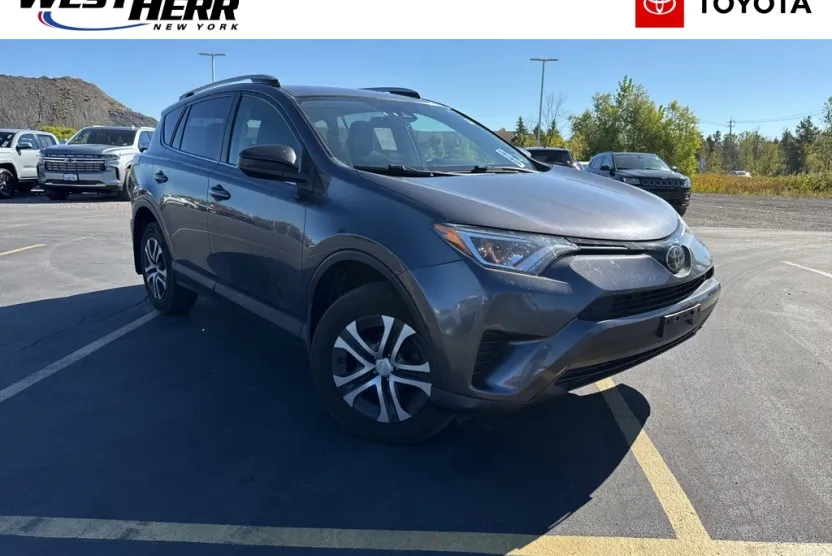 2018 Toyota RAV4 LE photo 1