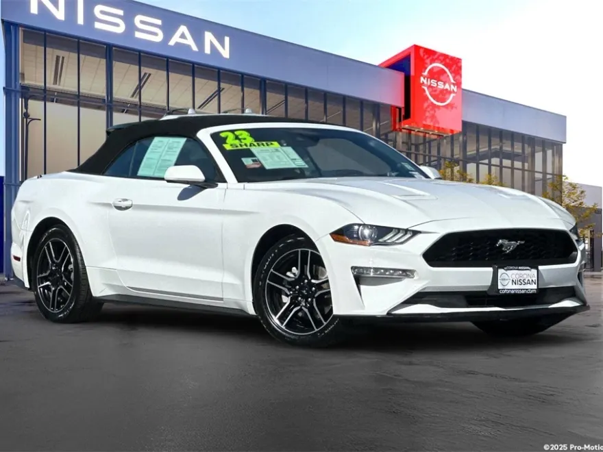 2023 Ford Mustang EcoBoost Premium photo 1