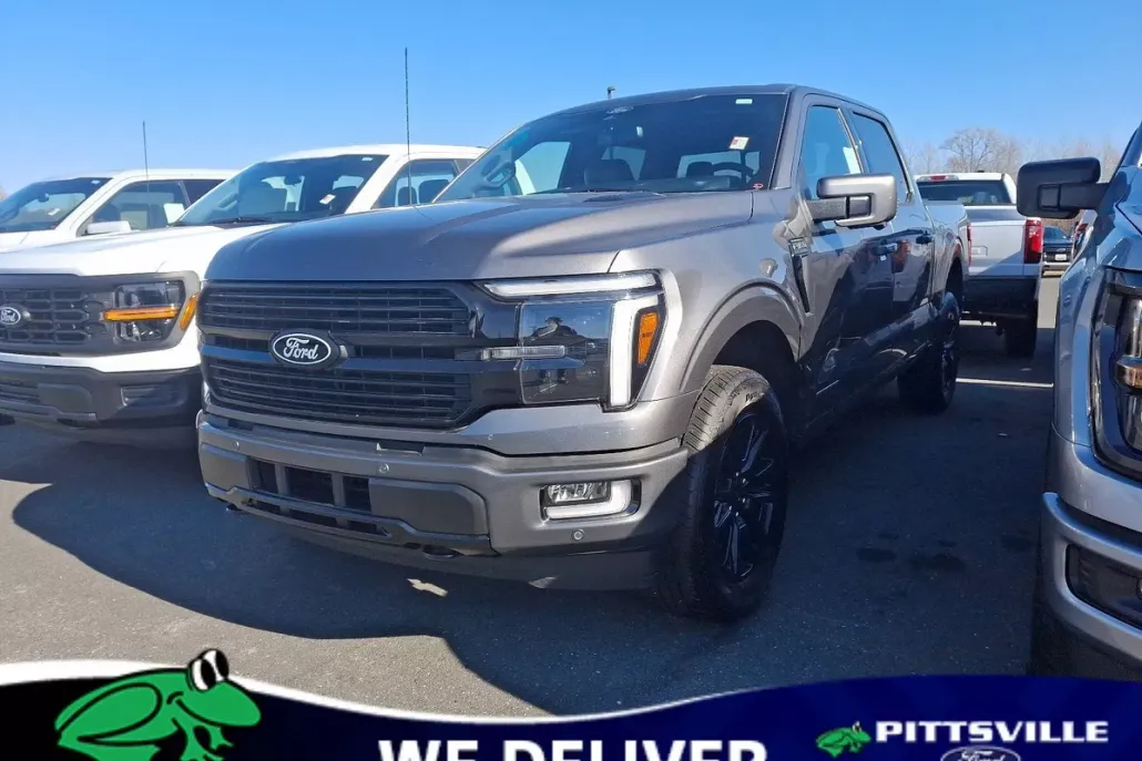 2025 Ford F-150 Platinum photo 1