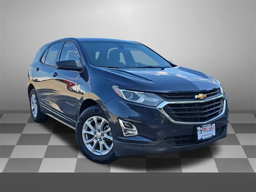 2019 Chevrolet Equinox LS photo 1