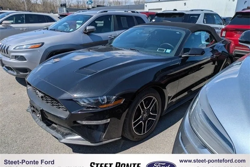 2021 Ford Mustang EcoBoost Premium photo 1