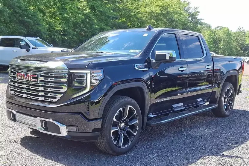 2025 Gmc Sierra 1500 Denali photo 1