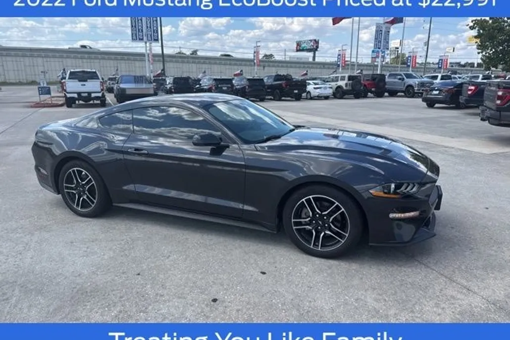 2022 Ford Mustang EcoBoost photo 1