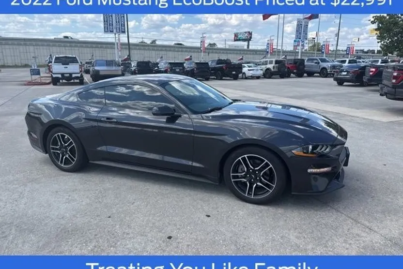 2022 Ford Mustang EcoBoost photo 1