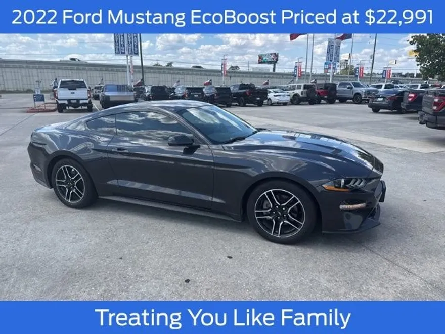 2022 Ford Mustang EcoBoost photo 1