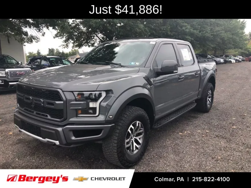 2018 Ford F-150 Raptor photo 1