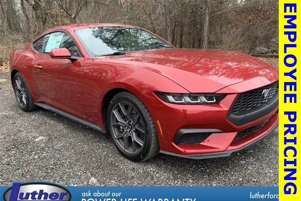 2024 Ford Mustang EcoBoost Premium photo 1