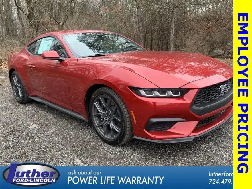 2024 Ford Mustang EcoBoost Premium photo 1