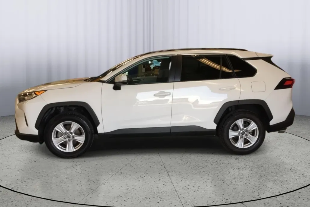 2019 Toyota RAV4 XLE photo 1