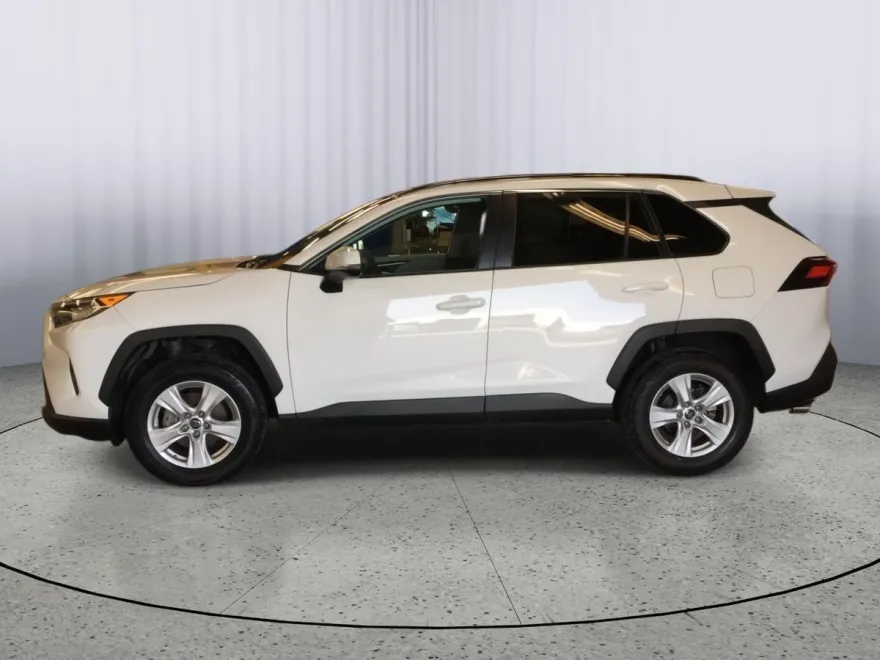 2019 Toyota RAV4 XLE photo 1