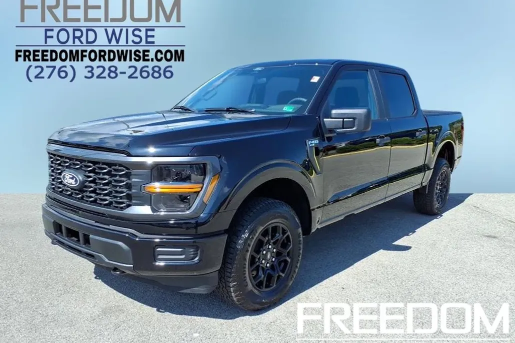 2025 Ford F-150 STX photo 1