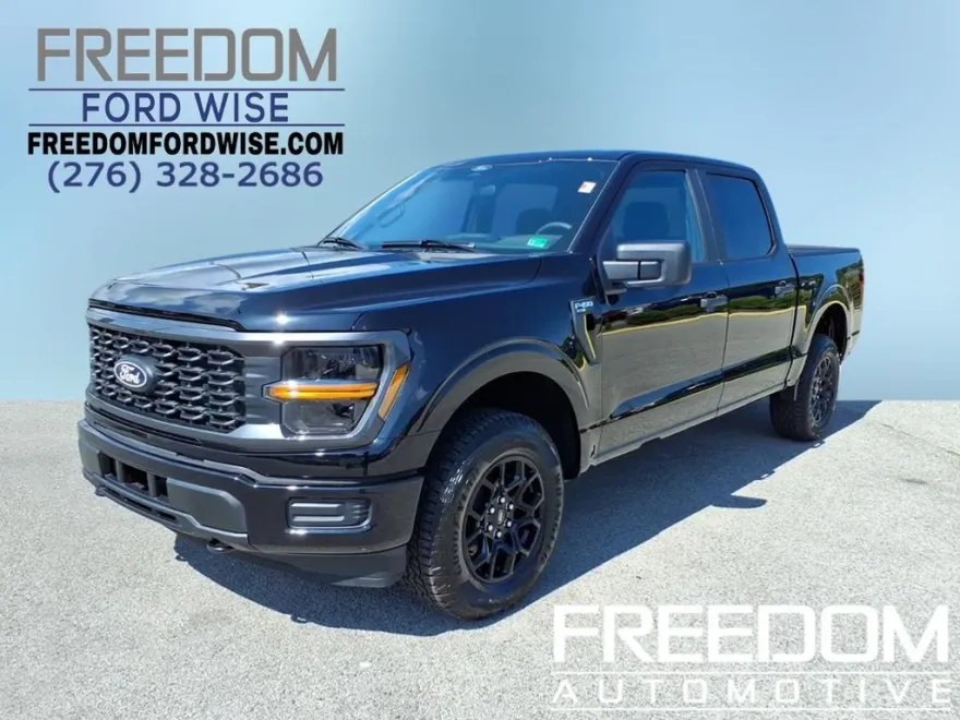 2025 Ford F-150 STX photo 1