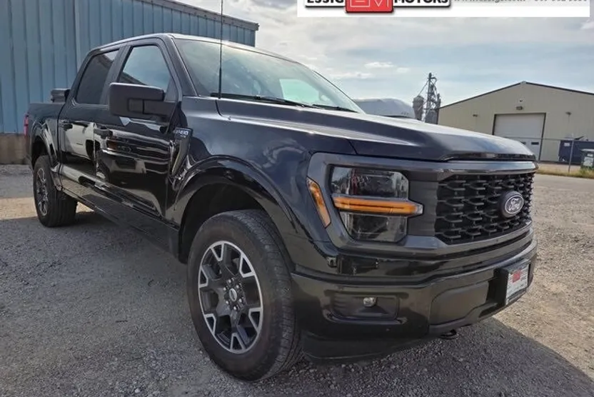 2024 Ford F-150 STX photo 1