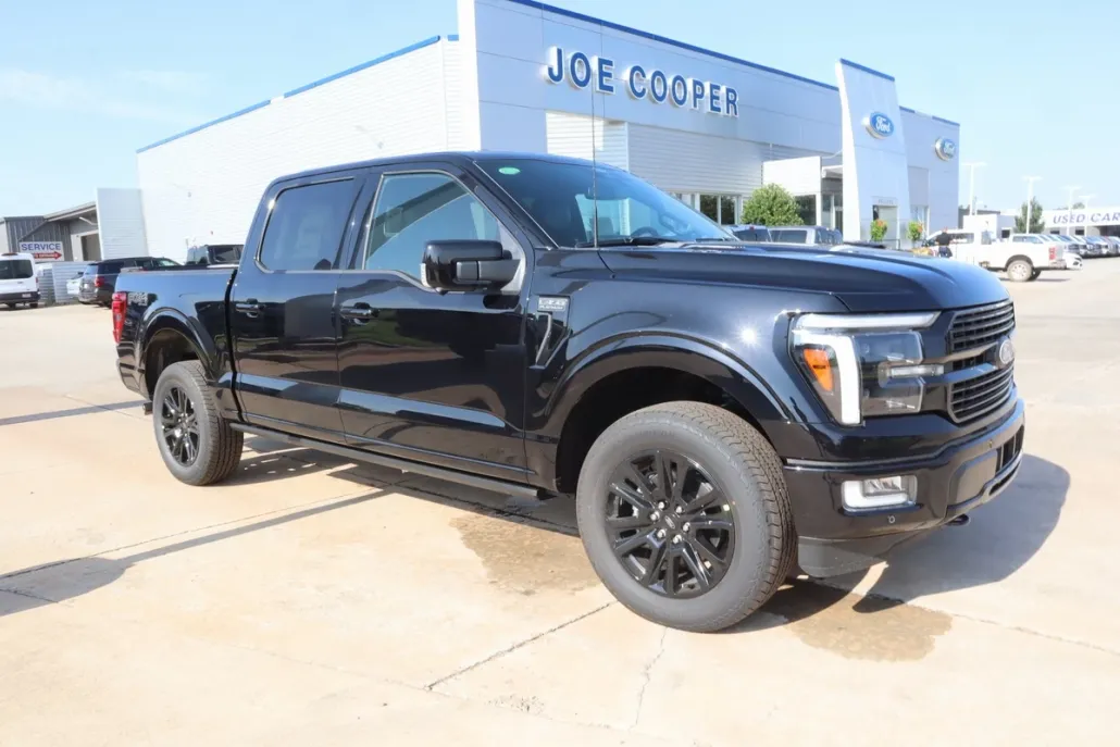 2025 Ford F-150 Platinum photo 1