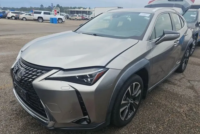 2019 Lexus UX 250h photo 1