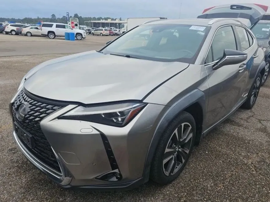 2019 Lexus UX 250h photo 1