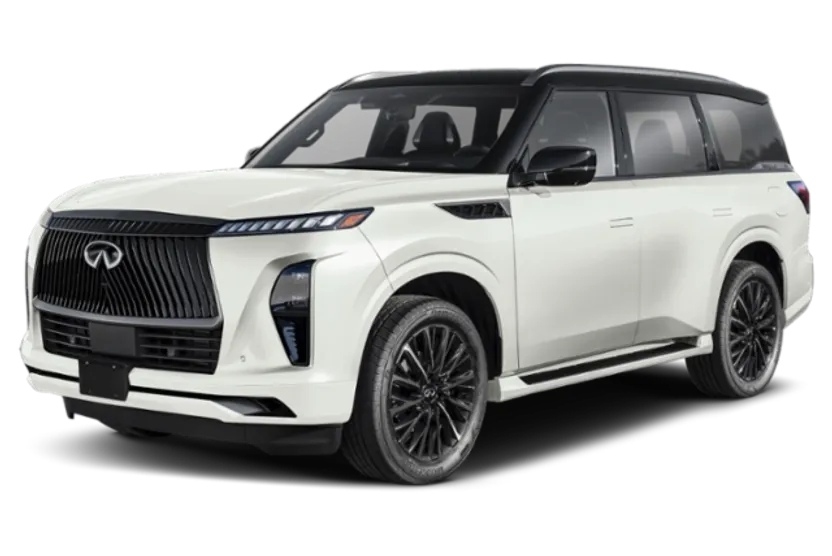 2026 Infiniti QX80 photo 1