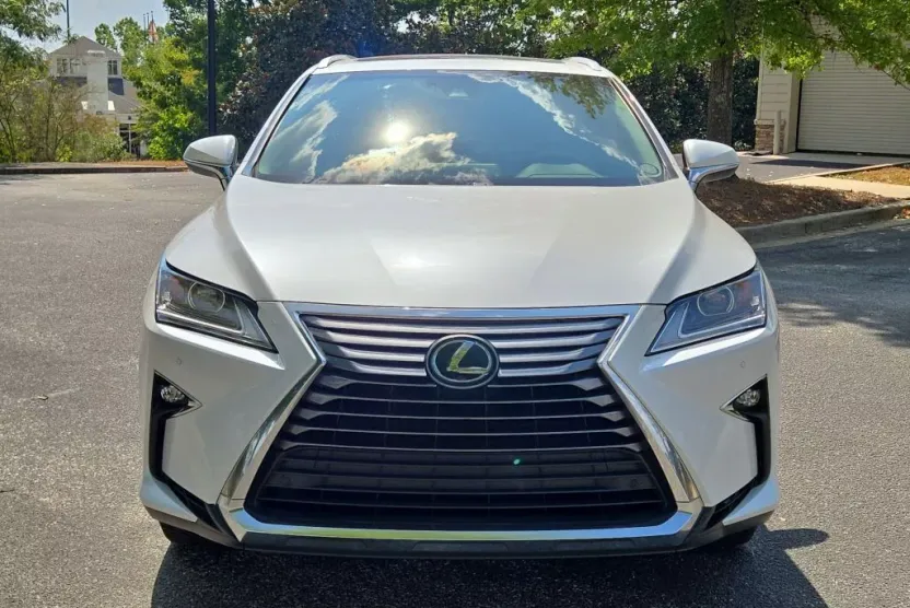 2019 Lexus RX 350L Luxury photo 1
